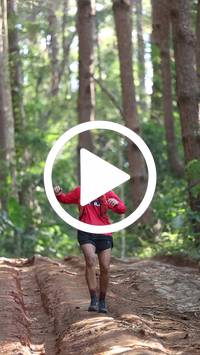 BIB:  <button type="button" onclick="openModal(26569744)" class="btn btn-primary btn-sm float-right" data-toggle="modal" data-target=".modal-high-quality">
                <i class="fa fa-download"></i> Download
                </button>